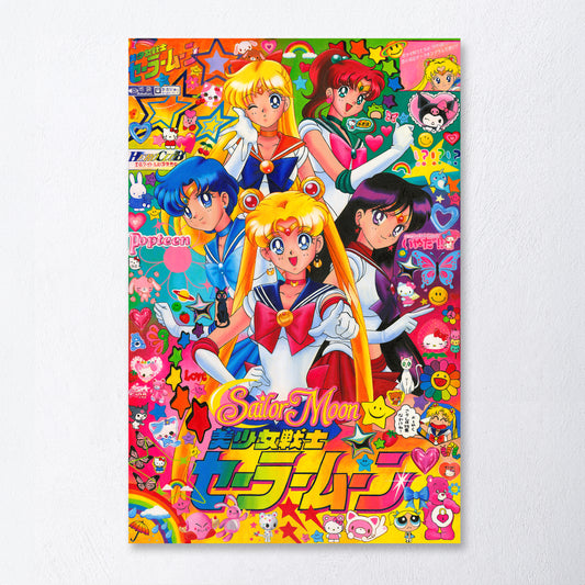 Sailor Moon Canvas